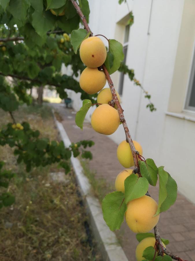 Chiostro Delle Cererie 호텔 마테라 외부 사진